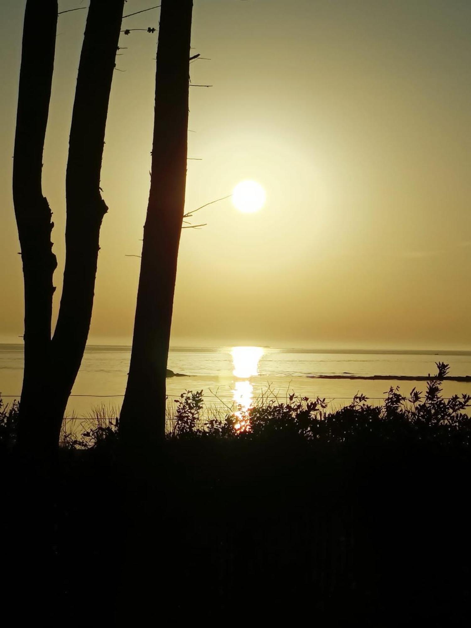 Mobilhome Quiberon camping Conguel bord de mer Exterior foto